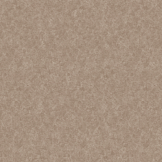 Фото - Дизайнерские обои Loymina Shade vol. II Melton SDR5 012