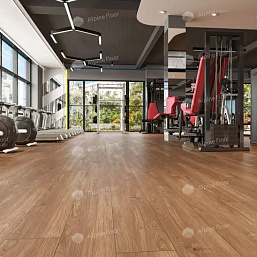 Фото - Виниловый ламинат Alpine Floor Sequoia Темная