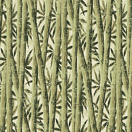 Фото - Флизелиновые обои Loymina Amazonia (1x10) Bamboo Ins7 005/1
