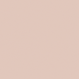 Фото - Флизелиновые обои Loymina A La Prima Plain cotton PM13 007