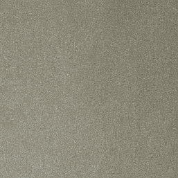 Фото - Ковролин AW Varuna 29