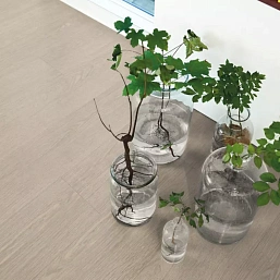 Фото - Виниловая плитка Pergo Classic Plank Optimum Click Дуб дворцовый теплый серый