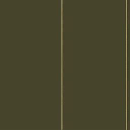 Фото - Флизелиновые обои Loymina Equator Lines QTR9 005