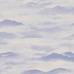 Фото - Флизелиновые обои Loymina Амплуа Клэр CLR4 006