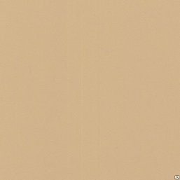 Фото - Сценический линолеум Grabo Broadway 2010