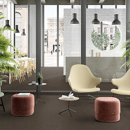 Фото - Ковролин коммерческий AW Medusa 43