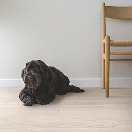 Фото - Ламинат Pergo Kalmar Дуб Лагом Светло-Бежевый