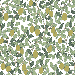 Фото - Флизелиновые обои Loymina Equator Citron QTR3 002