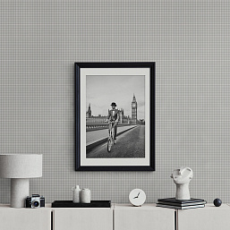 Фото - Флизелиновые обои Loymina Денди (1x10) KN1 001/1